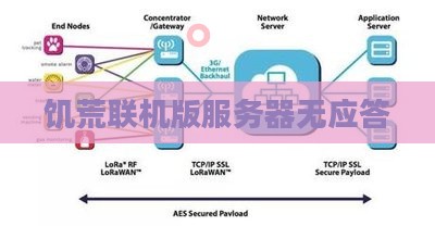 饥荒联机版服务器无应答