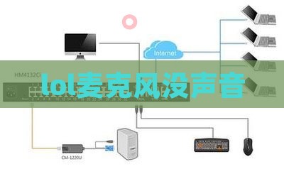 lol麦克风没声音