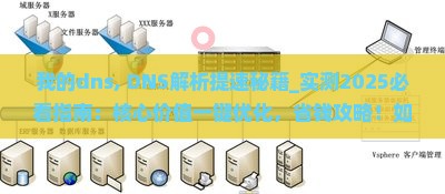 我的dns