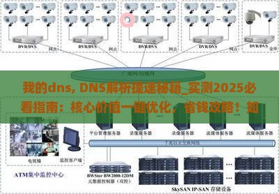我的dns