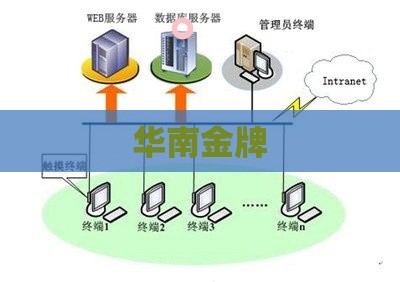 华南金牌 华南金牌
