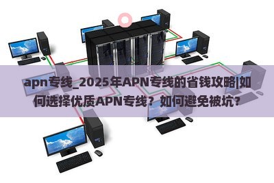 apn专线