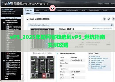 美国美国vPS