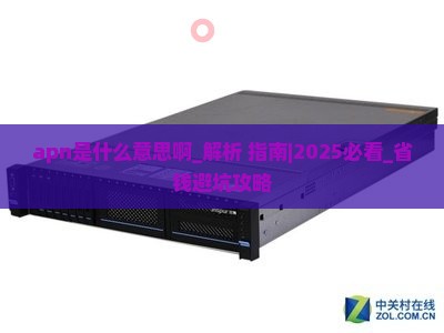 apn是什么意思啊