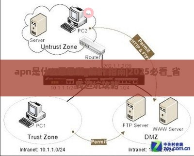 apn是什么意思啊