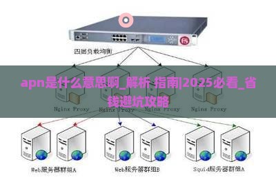 apn是什么意思啊