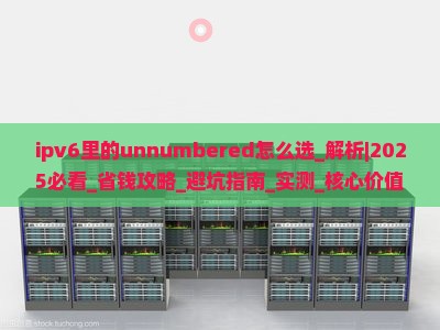 ipv6里的unnumbered怎么选
