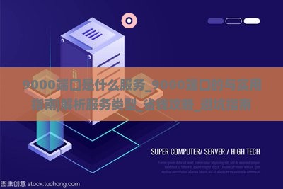 9000端口是什么服务