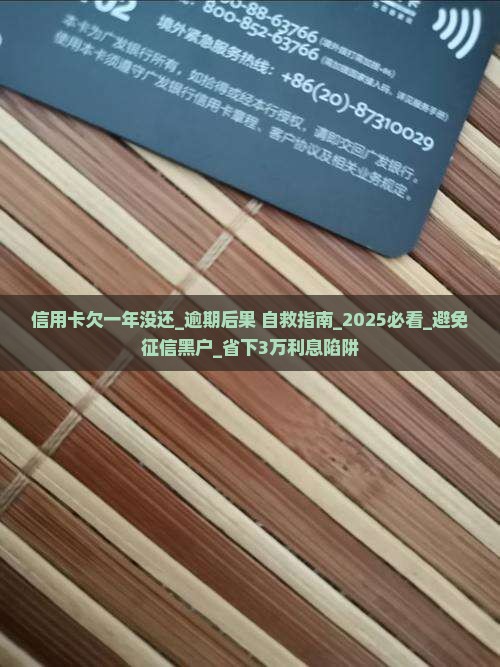 信用卡欠一年没还怎么办 信用卡欠一年没还怎么办