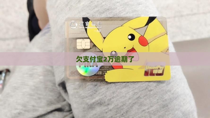 欠支付宝2万逾期了