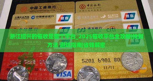 浙江绍兴的催收是哪个平台怎么找到