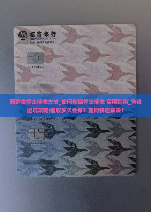 圆梦金停止催收方法