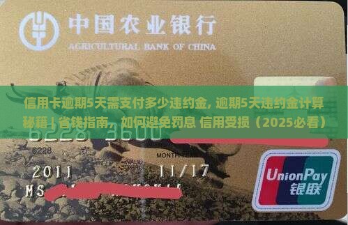 信用卡逾期5天需支付多少违约金 信用卡逾期5天需支付多少违约金
