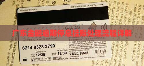 广东招联金融逾期停息挂账处理流程详解