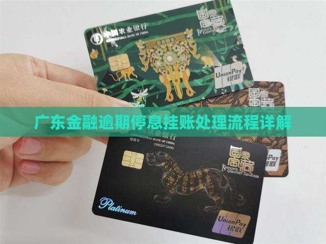 广东招联金融逾期停息挂账处理流程详解