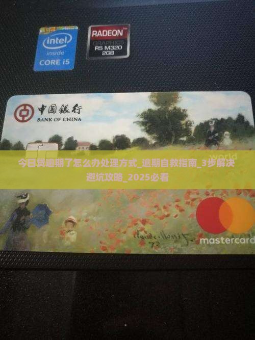 今日贷逾期了怎么办处理方式