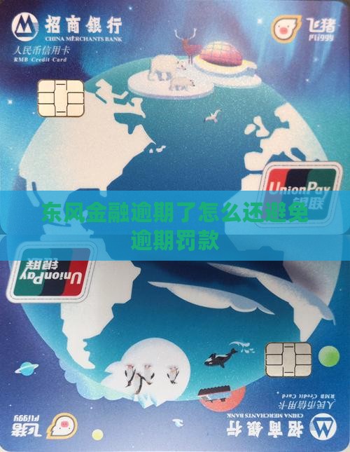 东风金融逾期了怎么还避免逾期罚款