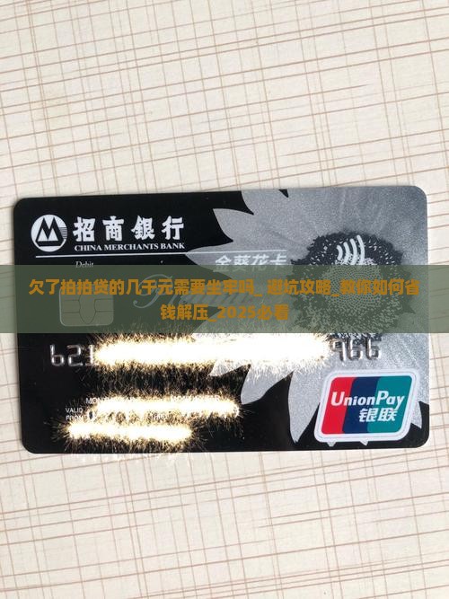 欠了拍拍贷的几千元需要坐牢吗