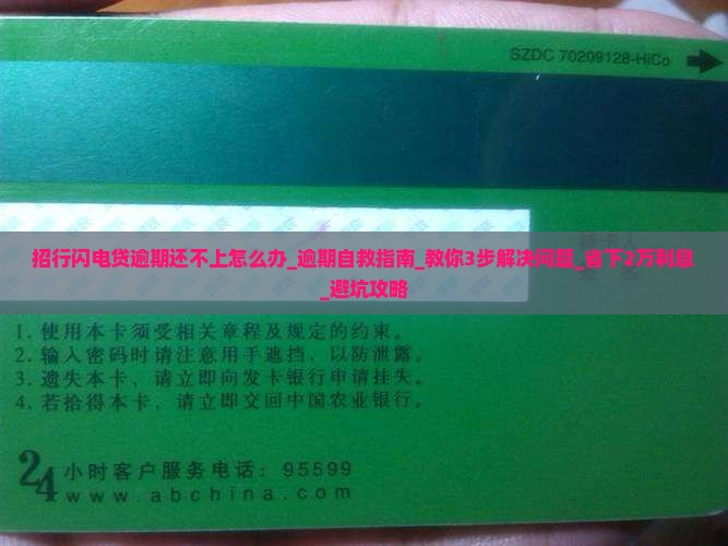 招行闪电贷逾期还不上该怎么办