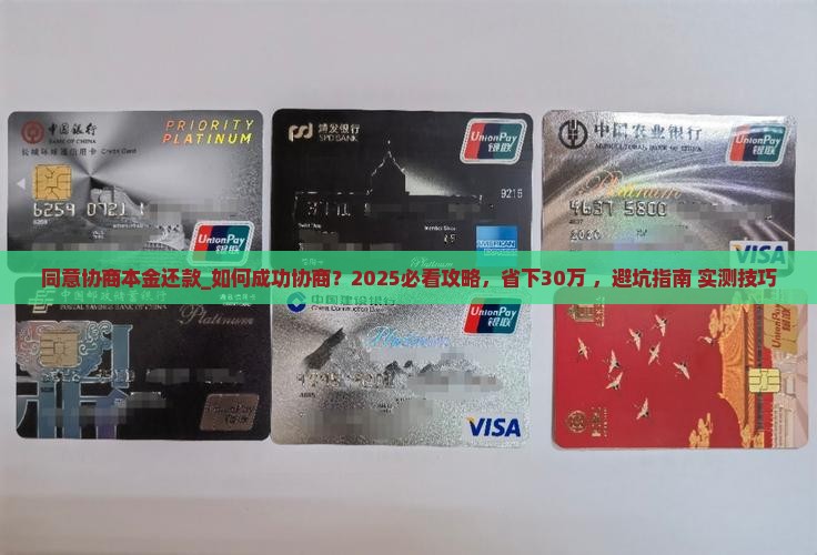 同意协商本金还款