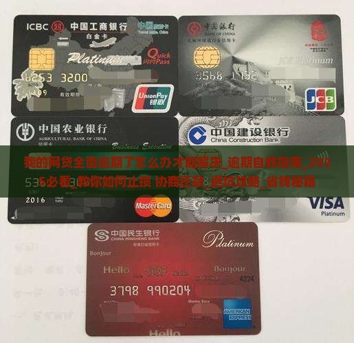 我的网贷全面逾期了怎么办才能解决
