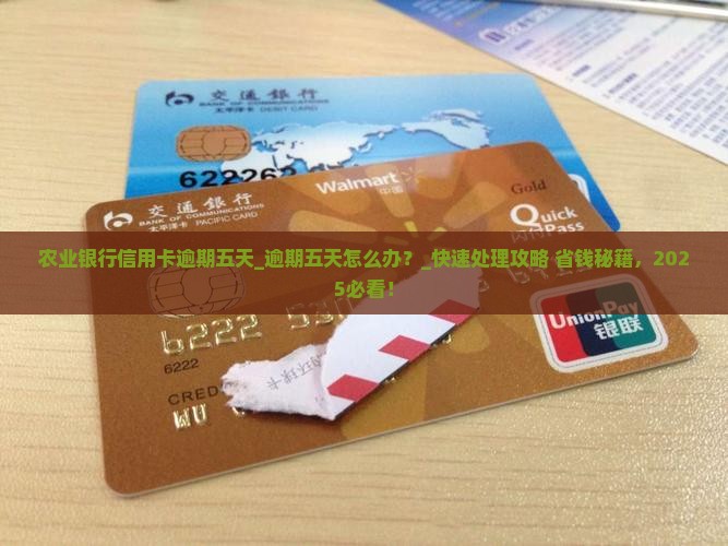 农业银行信用卡逾期五天