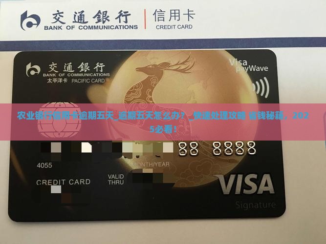 农业银行信用卡逾期五天