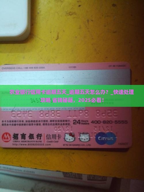 农业银行信用卡逾期五天