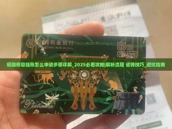 极融停息挂账怎么申请步骤详解