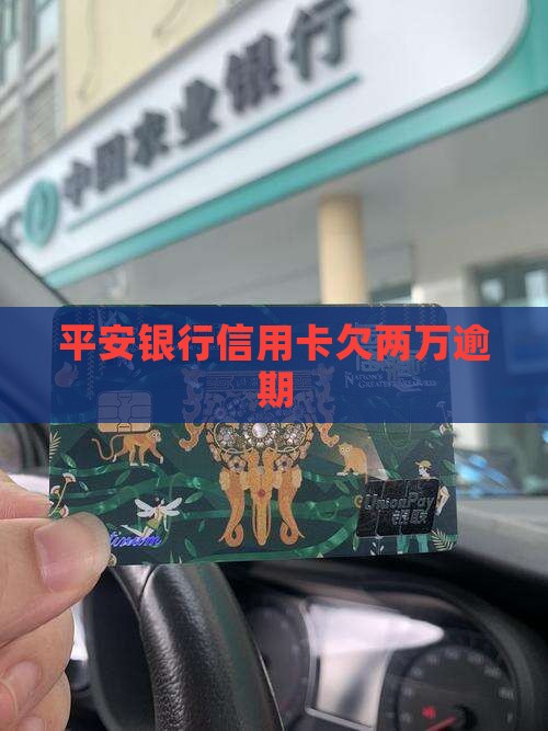 平安银行信用卡欠两万逾期