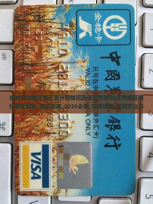 拍拍贷协商延期还是分期情况及应对措施