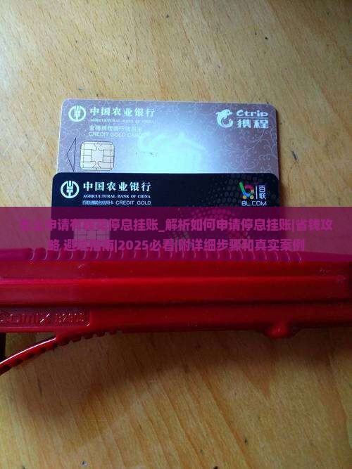 怎么申请有钱花停息挂账