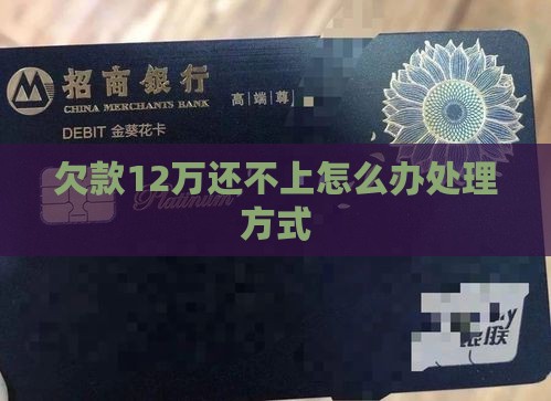 欠款12万还不上怎么办处理方式