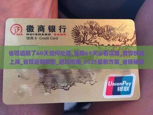 省呗逾期了60天如何处理