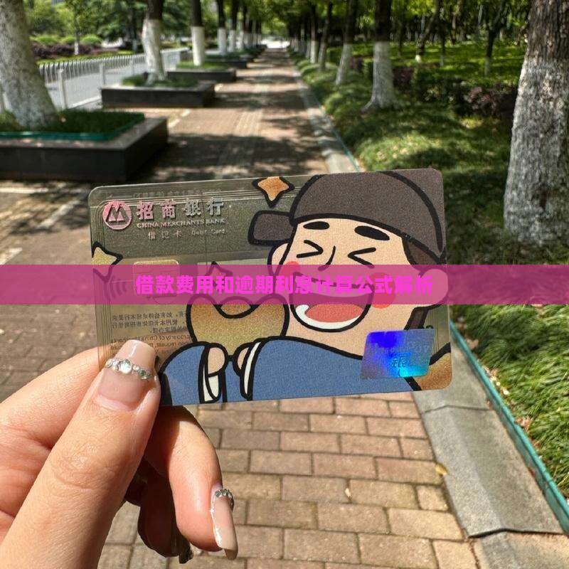 借款费用和逾期利息计算公式解析