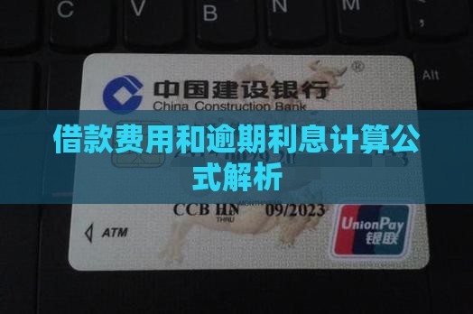 借款费用和逾期利息计算公式解析