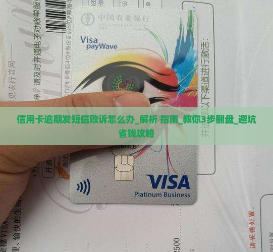 信用卡逾期发短信败诉怎么办