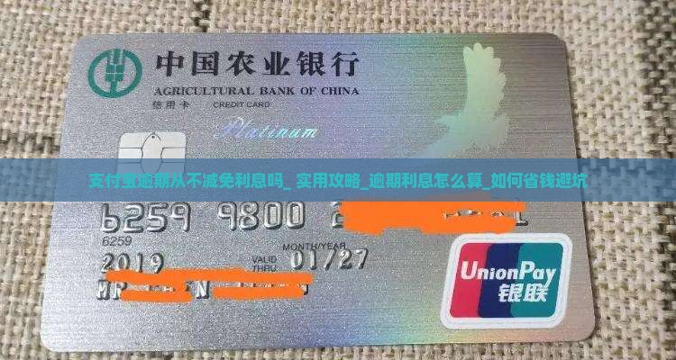 支付宝逾期从不减免利息吗