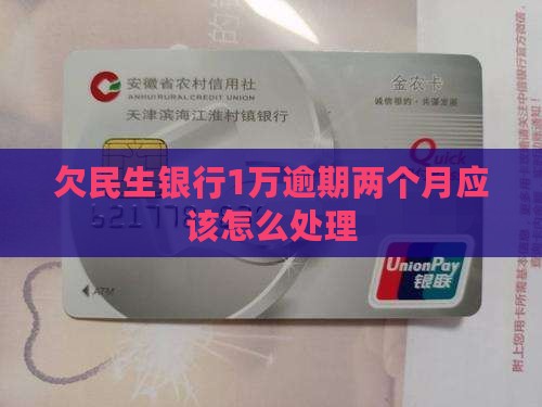 欠民生银行1万逾期两个月应该怎么处理