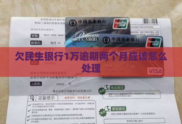 欠民生银行1万逾期两个月应该怎么处理